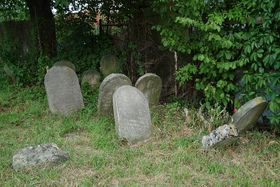 Єврейське кладовище у Голешові (Фото: Jitka Erbenová, CC BY-SA 3