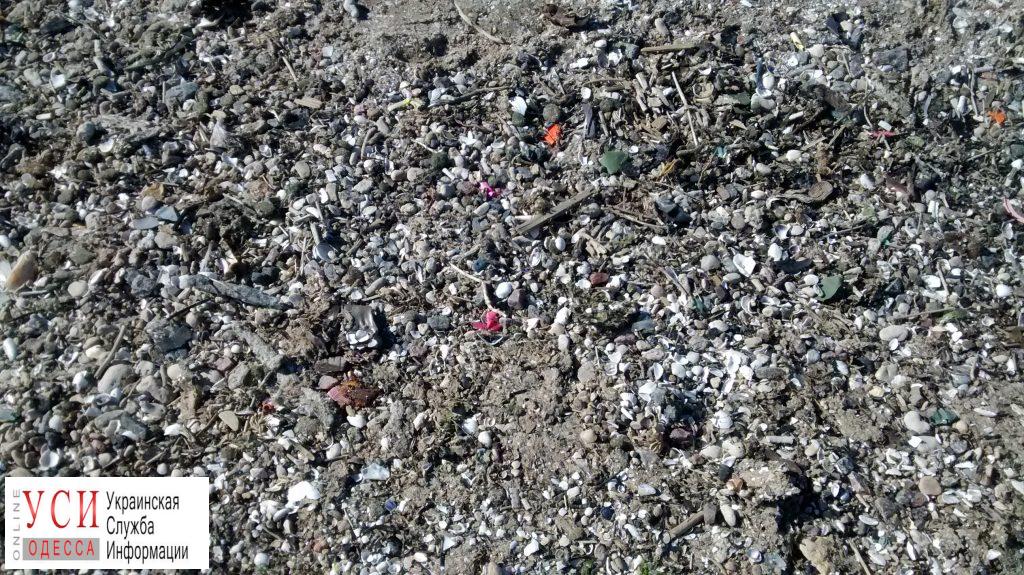 Пісок на пляжі в Лузанівці необхідно почистити і привезти новий   Пісок на пляжі в Лузанівці необхідно почистити і привезти новий