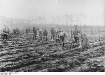 Умови життя іноземних робітників під час Першої світової війни