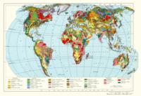 (2062x1414px 921Kb)   Розподіл мов на карті світу   (1453x742px 380kb)   Карта плавання Магеллана навколо світу   (1800x1233px 917kb)   Карта півкуль світу   (3698x2523px 2