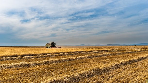 27 березня 2018, 12:20 Переглядів:   Агропромисловий сектор сьогодні по праву вважається флагманом української економіки