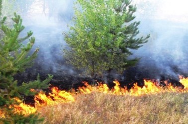 13 серпня 2010, 16:30 Переглядів:   Державний комітет лісового господарства України стурбований ситуацією з масовими пожежами в степах України, які вже стали причиною займання житлових будинків у прилеглих населених пунктах