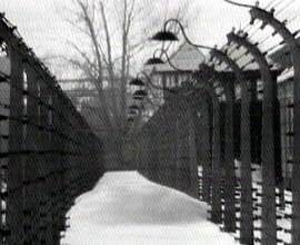 концтабір Терезин   «Концтабори були трьох типів: тимчасові, трудові та ліквідаційні