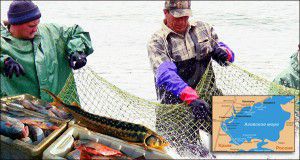 Азовське море на межі рибної катастрофи