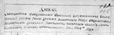 Список прізвищ перших жителів Богоявленська буде в кінці, а зараз трохи про самих книгах