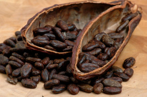 Історія говорить нам про те, що ще в далекому XIV столітті ацтеки думали про какао-бобах, що це таке