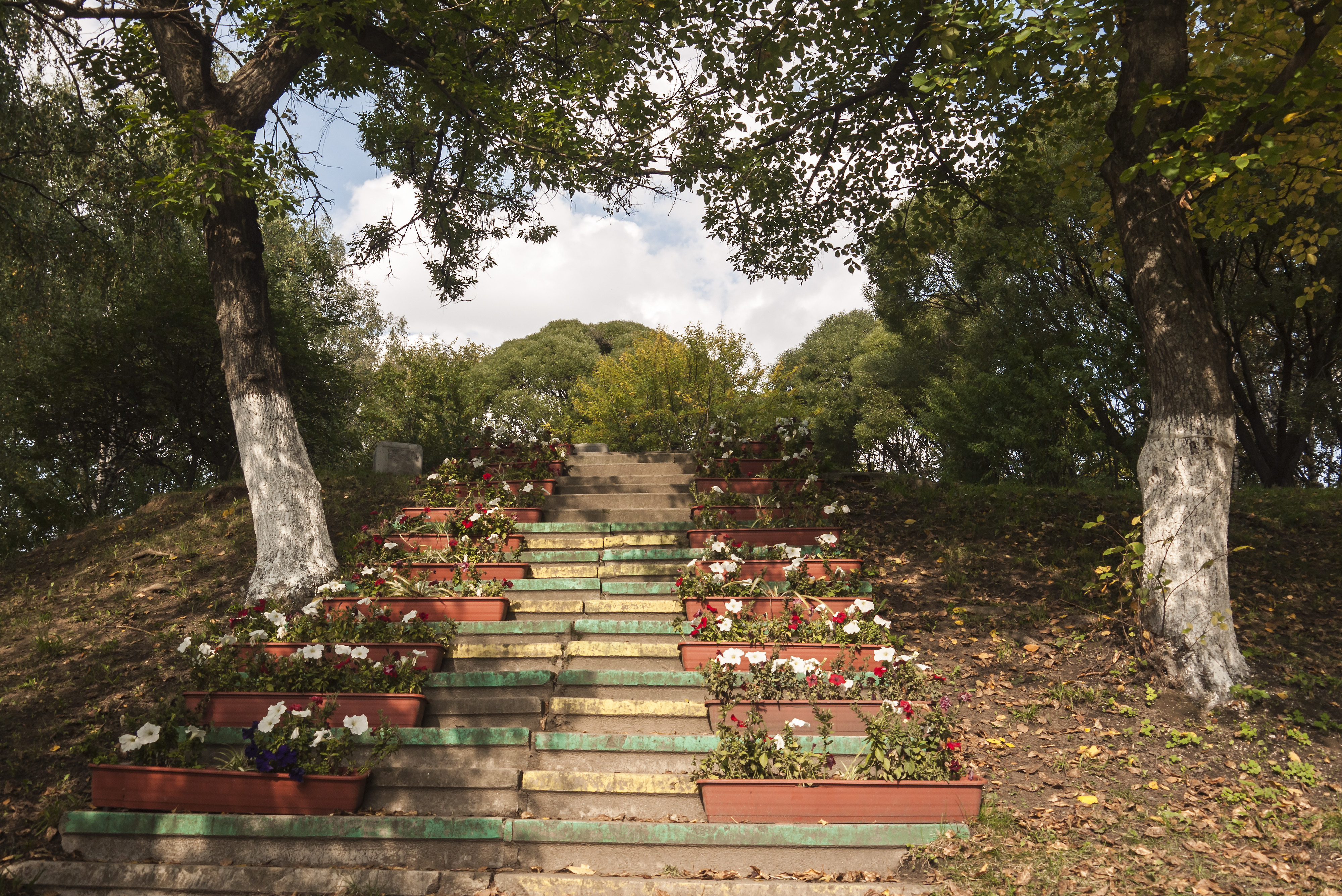 Парк взагалі, якось налаштувався на молодят, крім моста з замками, є ще сходи закоханих з плошками для квітів на сходинках