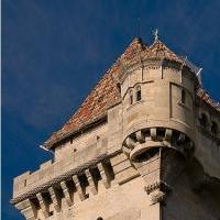Вежа замку Ліхтенштейн За багато століть своєї історії династія Ліхтенштейнів мала велику кількість земель в Моравії, Нижньої Австрії, Сілезії і Штирії