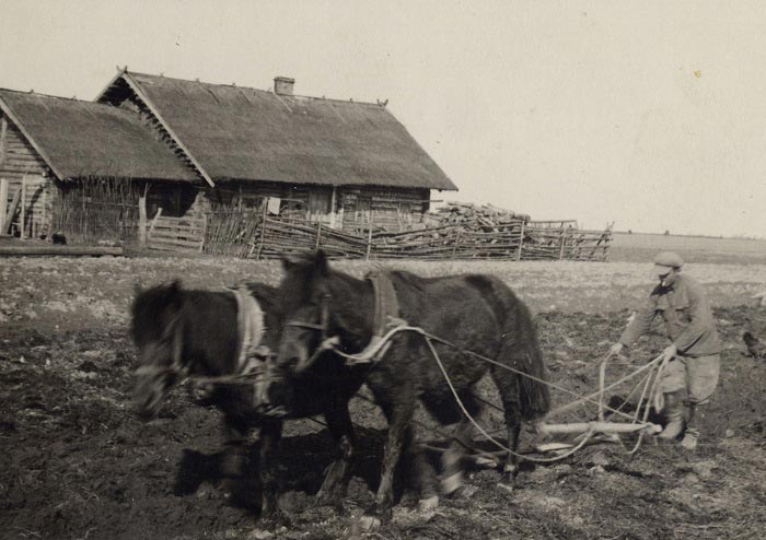 Село, 1936 р